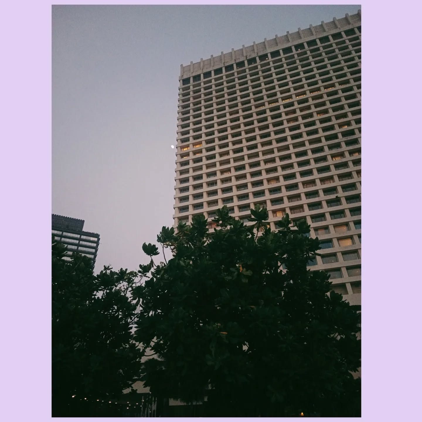 shades of lavender 💫