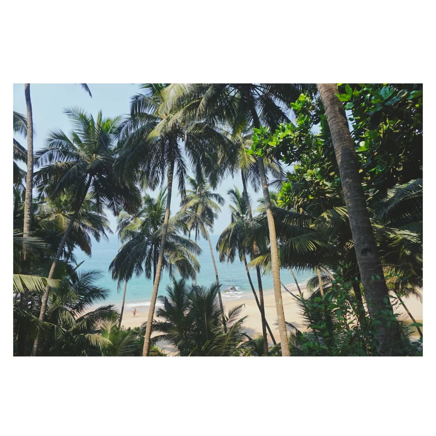 yeh aakhein itni khush hall1 ke baad goa me he dikhi h.🍻🌊🏖️👑