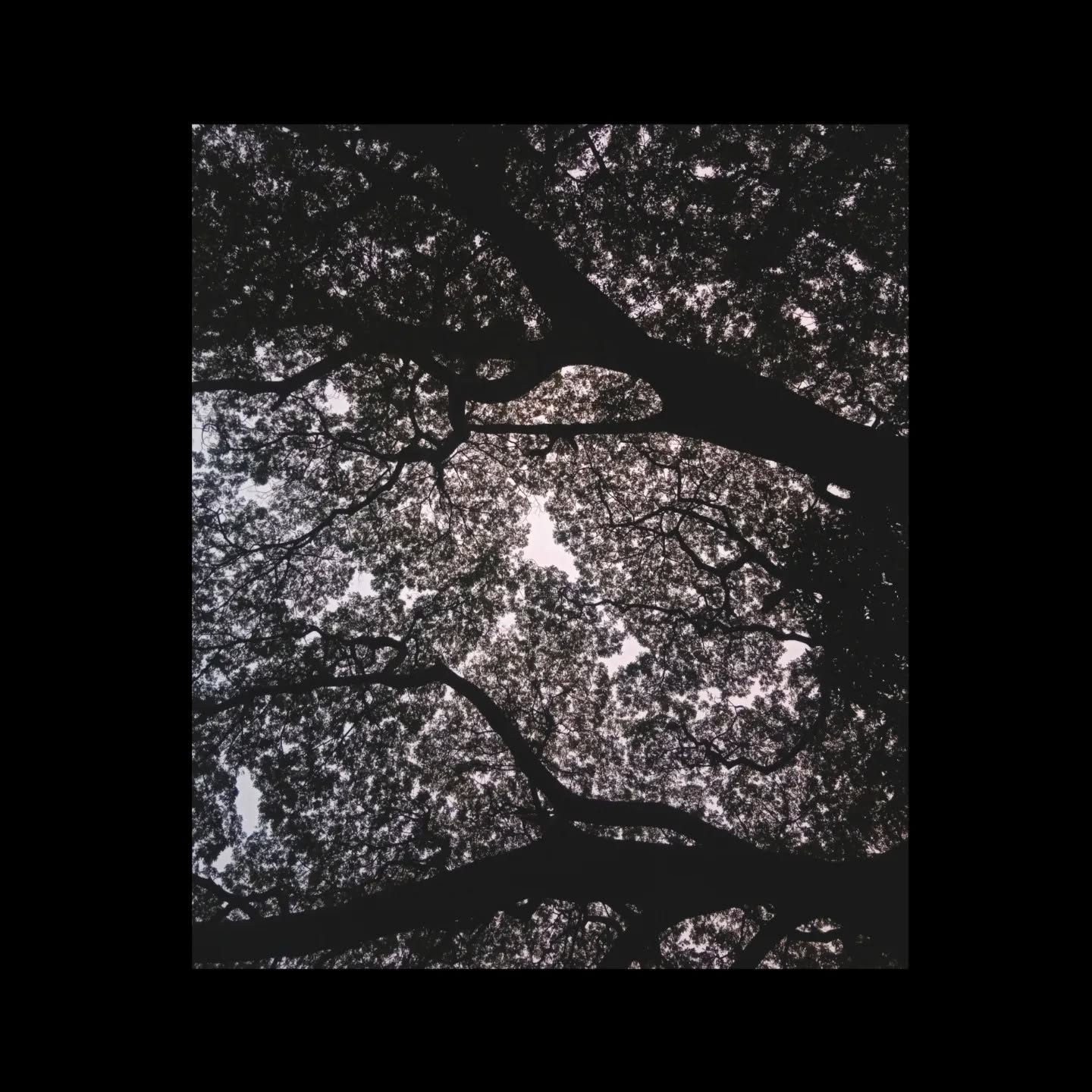 unfilled voids.